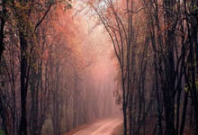 亚星娱乐官网：每体：本周巴萨与西班牙人的加泰杯比赛可能推迟进行.