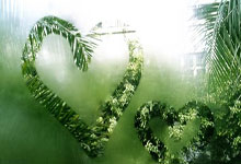 亚星娱乐官网：凯尔特人强势破网 绿衫军后卫创NBA替补三分纪录.