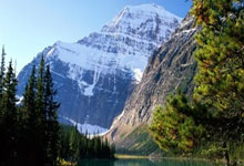 亚星娱乐官网：申花双签、佩雷兹爆金、孙颖莎卡签…….