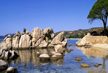 亚星娱乐官网：2025年中国足协杯资格赛将于今年12月举行.